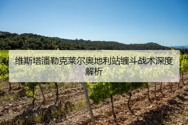 wei-si-ta-pan-lei-ke-lai-er-ao-di-li-zhan-chan-dou-zhan-shu-shen-du-jie-xi-2-313.jpg