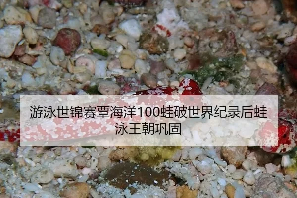 you-yong-shi-jin-sai-tan-hai-yang-wa-po-shi-jie-ji-lu-hou-wa-yong-wang-chao-gong-gu-3-916.jpg
